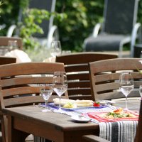 Terras1